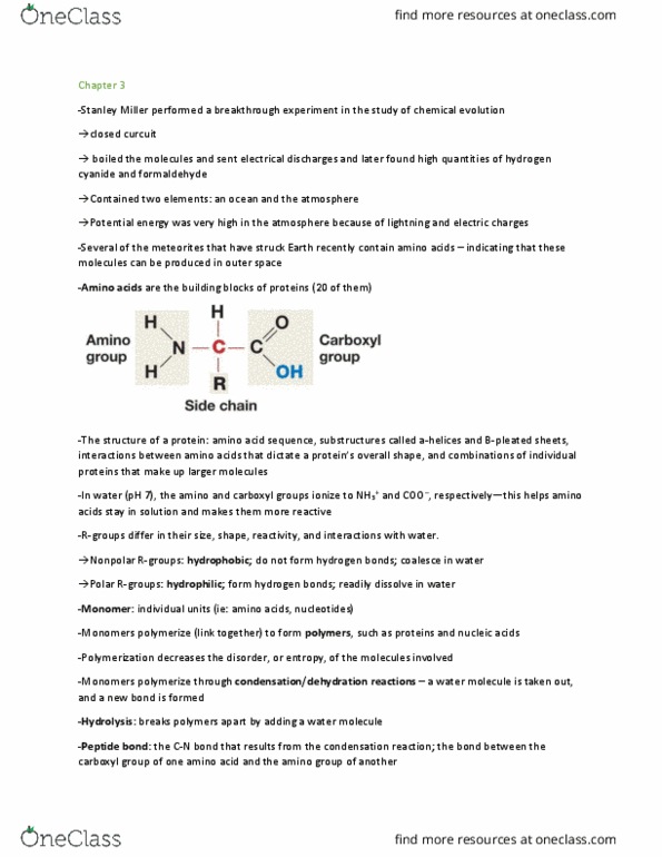 BLG 143 Chapter Notes - Chapter 3: Formaldehyde, Allosteric Regulation, Carboxylic Acid thumbnail