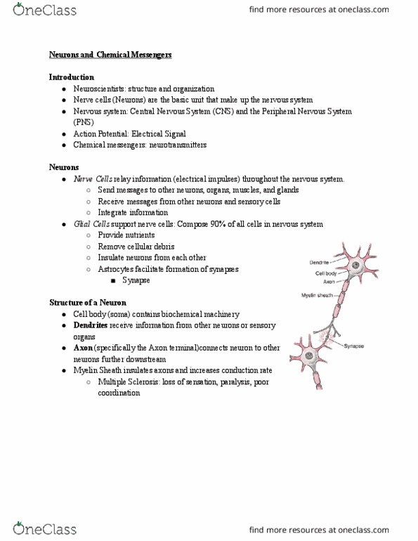 PSYCH101 Lecture Notes - Lecture 8: Multiple Sclerosis, Acetylcholine, Peripheral Nervous System thumbnail