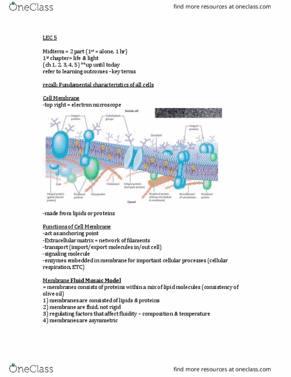 BIOL 1000 Lecture Notes - Lecture 5: Extracellular Matrix, Ethanolamine, Clathrin thumbnail