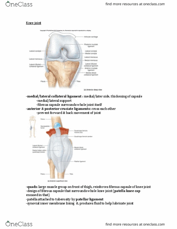 KINE 2031 Lecture Notes - Lecture 9: Subtalar Joint, Anterior Talofibular Ligament, Phalanx Bone thumbnail