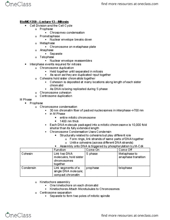 BIOMG 1350 Lecture Notes - Lecture 13: Prometaphase, Chromatin, Cell Cortex thumbnail