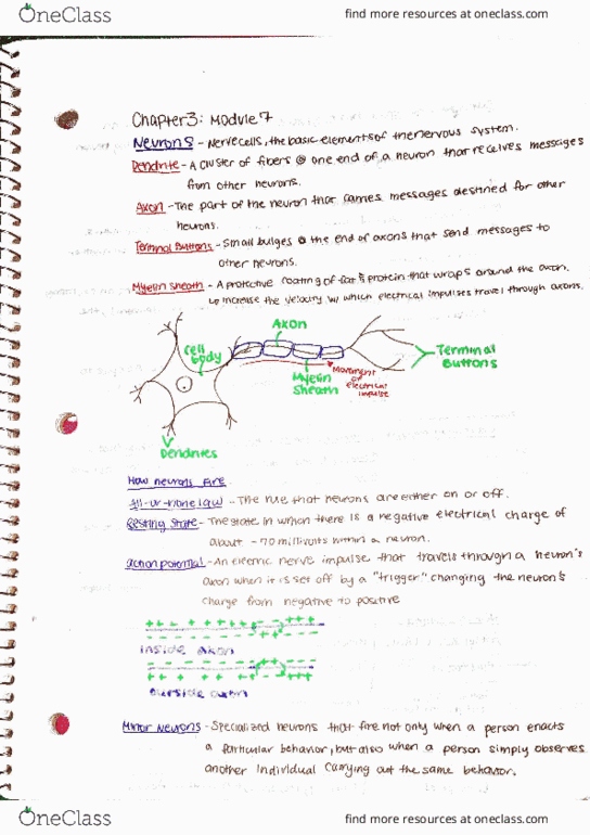 PSYCH 100 Chapter Notes - Chapter 3: List Of A Song Of Ice And Fire Characters, Action Potential, Mantra thumbnail