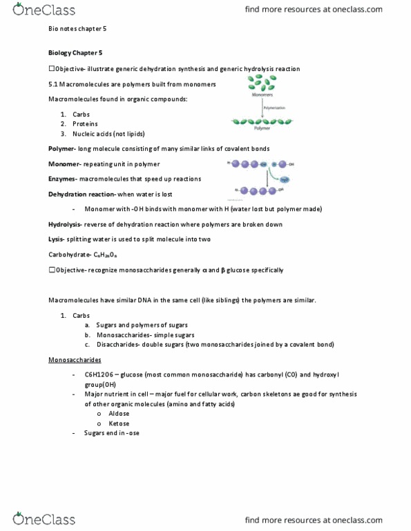 BIOL 130 Lecture Notes - Lecture 3: Messenger Rna, Dehydration Reaction, Covalent Bond thumbnail