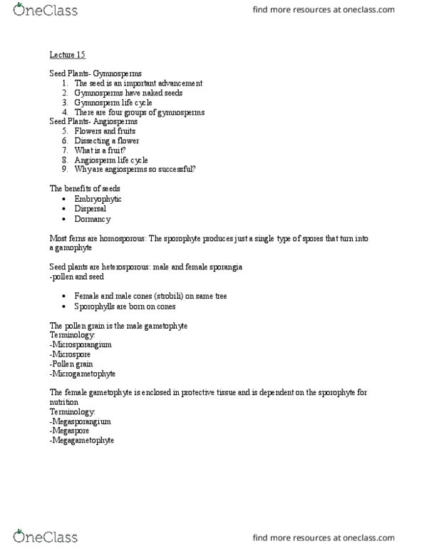 BIO 200 Lecture Notes - Lecture 16: Pollen Tube, Megaspore, Gymnosperm thumbnail