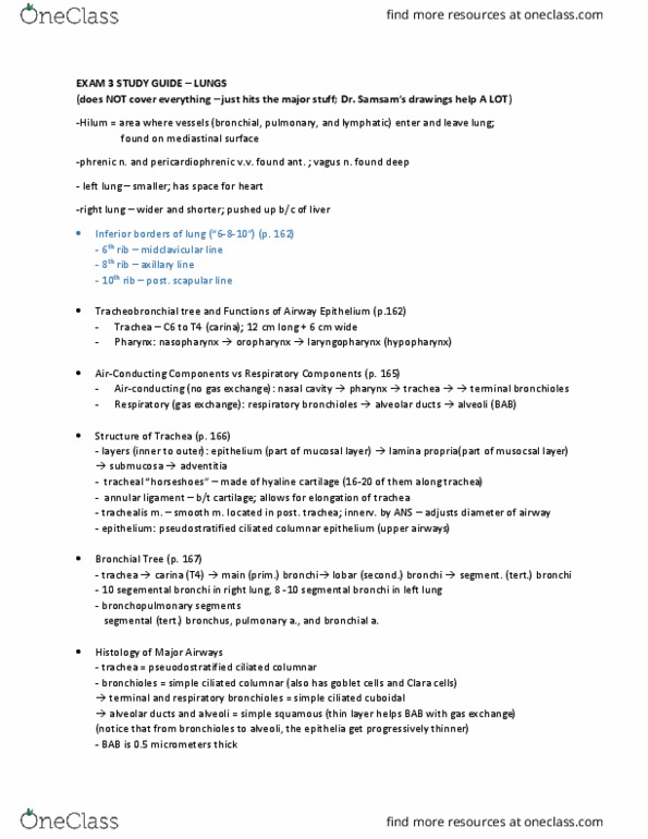 ZOO 3733C Lecture Notes - Lecture 24: Bronchiole, Annular Ligament Of Radius, Hyaline Cartilage thumbnail