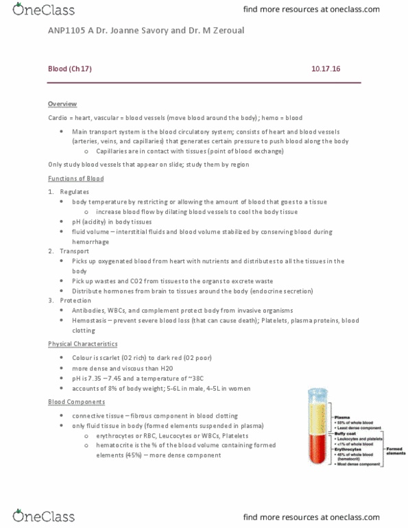 ANP 1105 Lecture Notes - Lecture 11: Vasodilation, Buffy Coat, Blood Proteins thumbnail