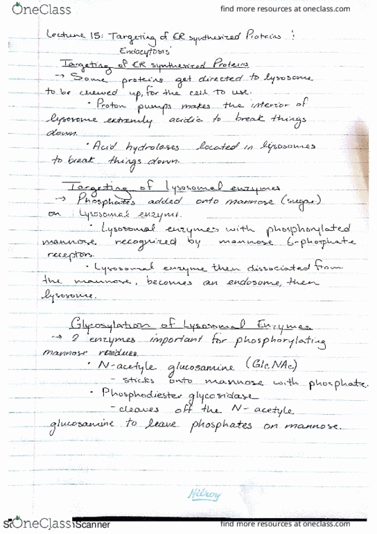 BIOL 2020 Lecture 15: Targeting of ER synthesized Proteins & Endocytosis thumbnail