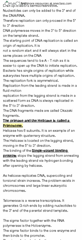 BIO130H1 Chapter Notes - Chapter 4: Okazaki Fragments, Sigma Factor, Helicase thumbnail