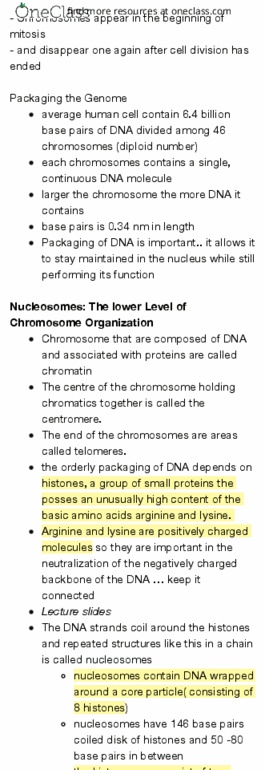 BIO130H1 Chapter 4: Chromosomes and Chromatin thumbnail