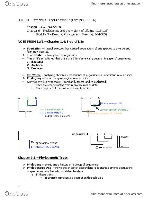 BIOL 1001 Lecture Notes - Lecture 7: Carl Woese, Cladistics, Phenetics thumbnail