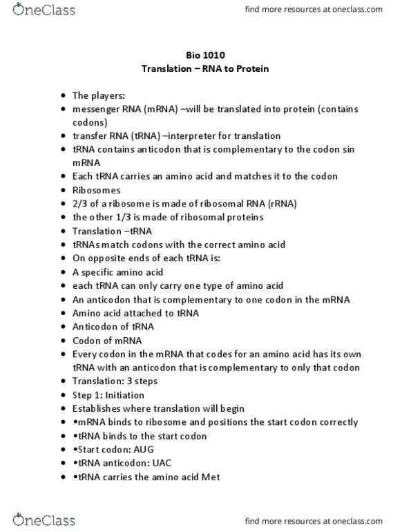 BIO_SC 1010 Lecture Notes - Lecture 22: Transfer Rna, Ribosomal Rna, Glutamine thumbnail