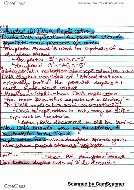 BIO-1801 Chapter 12.1-12.3: Chapter 12.1-12.3 DNA Replication thumbnail