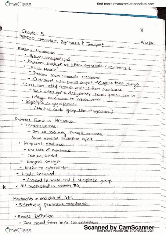 BIOL 1115 Lecture 8: Chapter 5 thumbnail