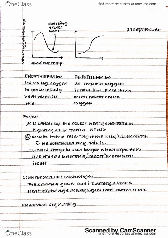 BILD 2 Lecture 2: 27 September thumbnail