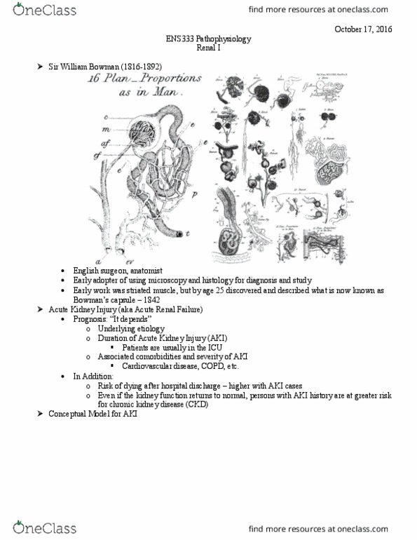 ENS 333 Lecture Notes - Lecture 8: Renal Function, Chronic Kidney Disease, Peritoneal Dialysis thumbnail