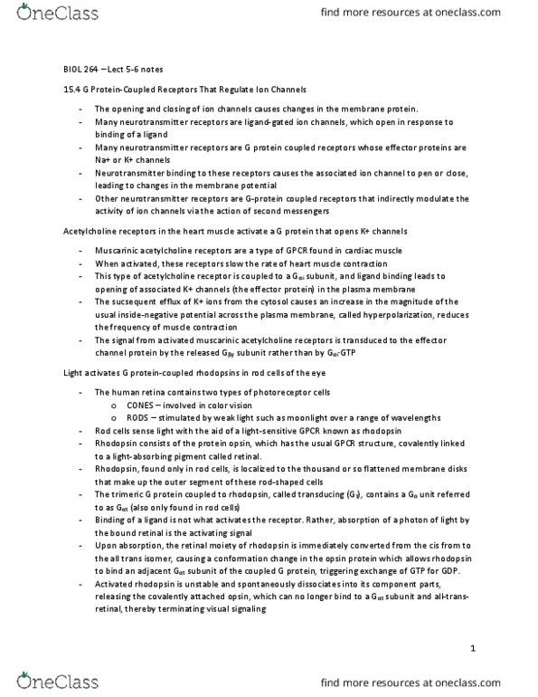 BIOL 364 Lecture Notes - Lecture 5: G Protein–Coupled Receptor, Rod Cell, Guanylyl Cyclase thumbnail