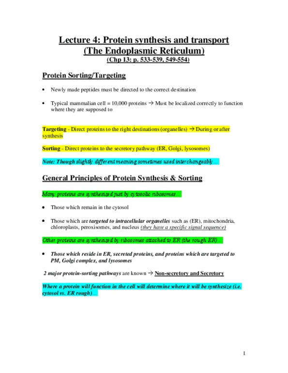Biology 2382B Lecture Notes - Lecture 4: Calreticulin, Peroxisome, Organelle thumbnail