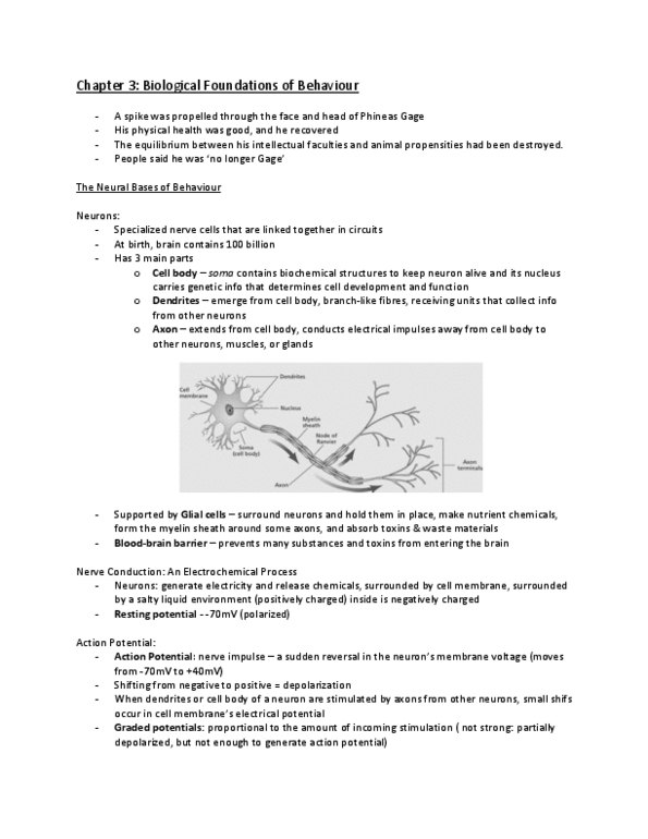 Psychology 1000 Lecture Notes - Phineas Gage, Acetylcholine, Paroxetine thumbnail