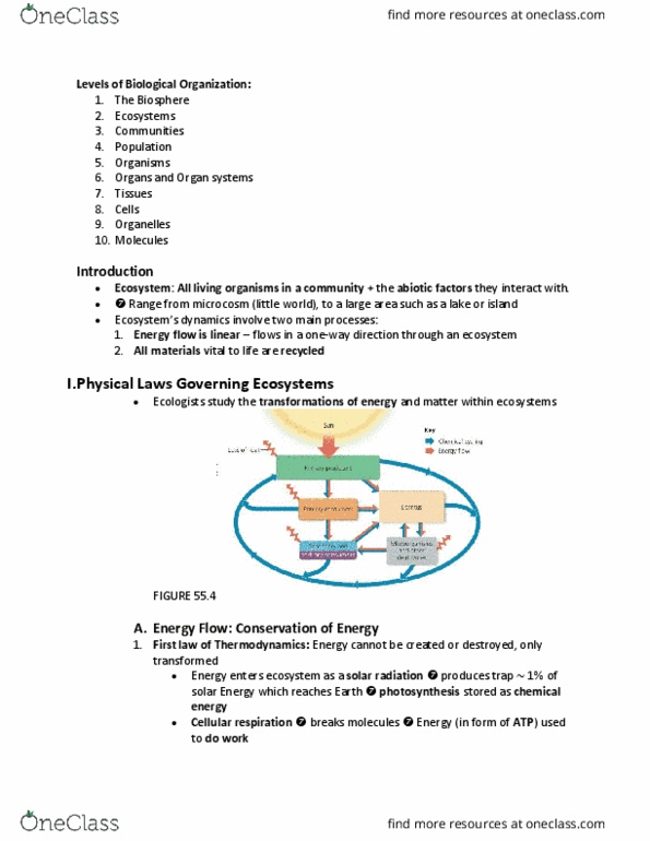 01:119:115 Lecture Notes - Lecture 26: Radiant Energy, Herbivore, Autotroph thumbnail