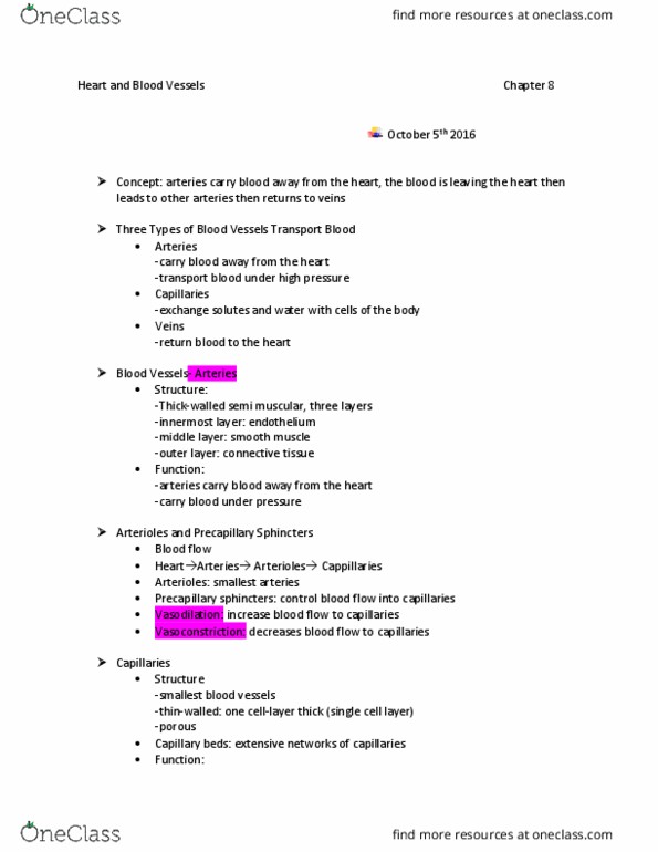 BIOS 1030 Lecture Notes - Lecture 11: Heart Valve, Pulmonary Valve, Aortic Valve thumbnail