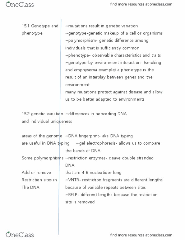 BIOL 2040 Chapter Notes - Chapter 15: Noncoding Dna, Dna Profiling, Genetic Testing thumbnail