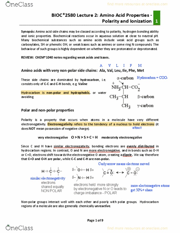 BIOC 2580 Lecture Notes - Lecture 2: Deprotonation, Electronegativity, Acid Dissociation Constant thumbnail