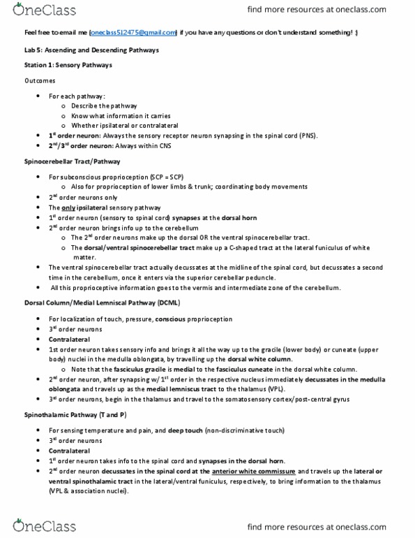 Anatomy and Cell Biology 3319 Lecture Notes - Lecture 10: Spinocerebellar Tract, Anterior White Commissure, Superior Cerebellar Peduncle thumbnail