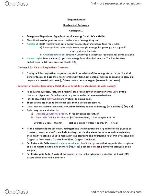 ZOOL 115 Lecture 6: Biology Chapter 6 Notes thumbnail