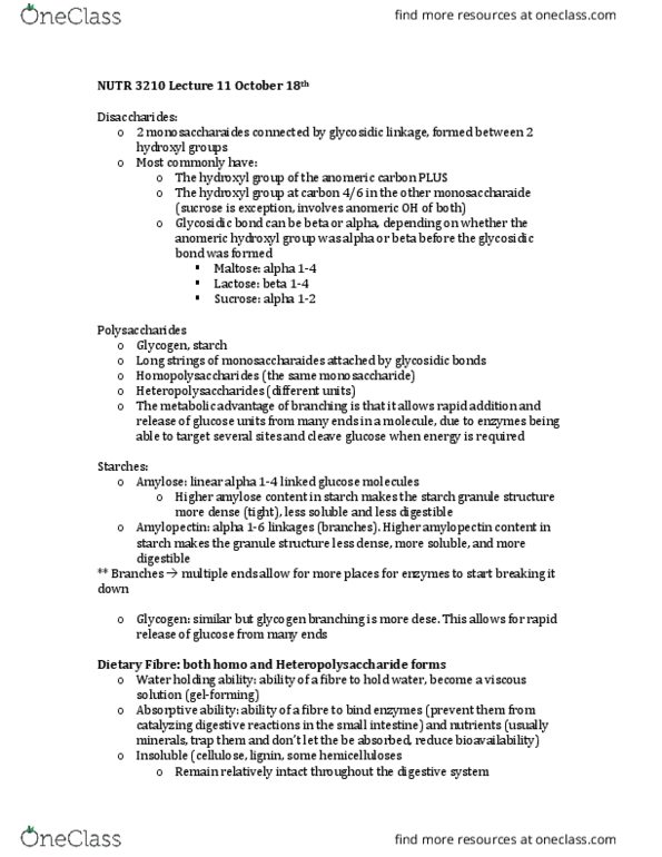 NUTR 3210 Lecture Notes - Lecture 11: Resistant Starch, Portal Vein, Oat thumbnail