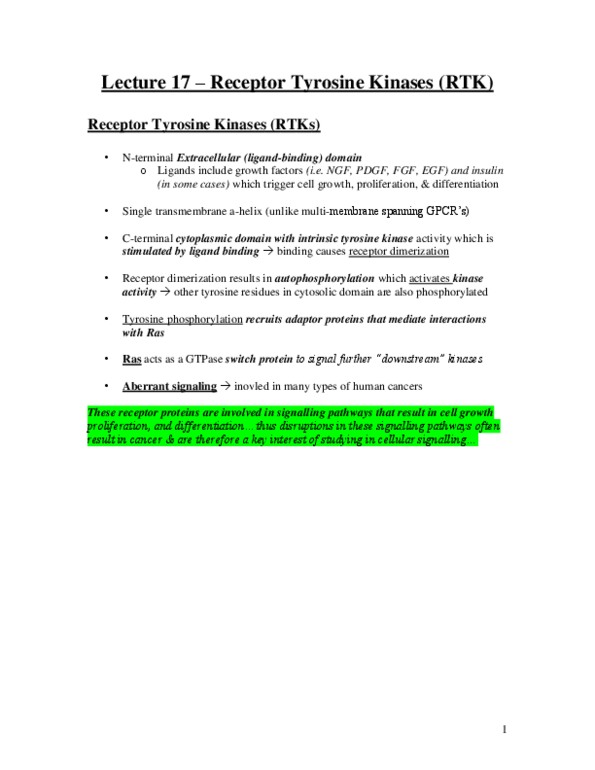 Biology 2382B Lecture Notes - Trastuzumab, Chromosome, Chemotherapy thumbnail