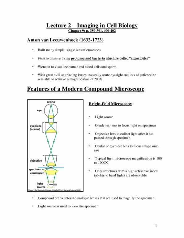 Biology 2382B Lecture Notes - Virtual Image, Förster Resonance Energy Transfer, Organelle thumbnail