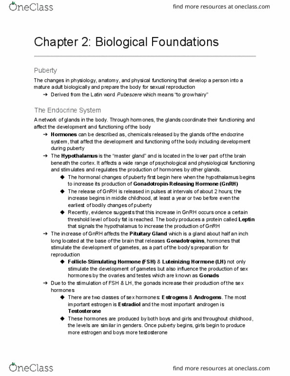 FRHD 2280 Lecture Notes - Lecture 2: Luteinizing Hormone, Endocrine System, Puberty thumbnail