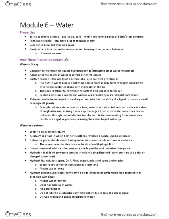 BI110 Lecture Notes - Lecture 4: Phospholipid, Liposome, Electronegativity thumbnail