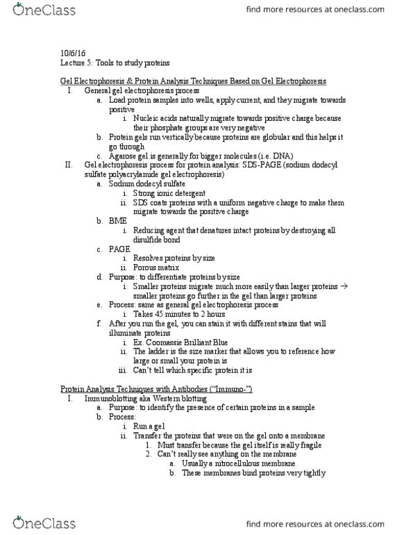 LIFESCI 3 Lecture Notes - Lecture 5: Chromosome, Chronic Myelogenous Leukemia, Insitu thumbnail