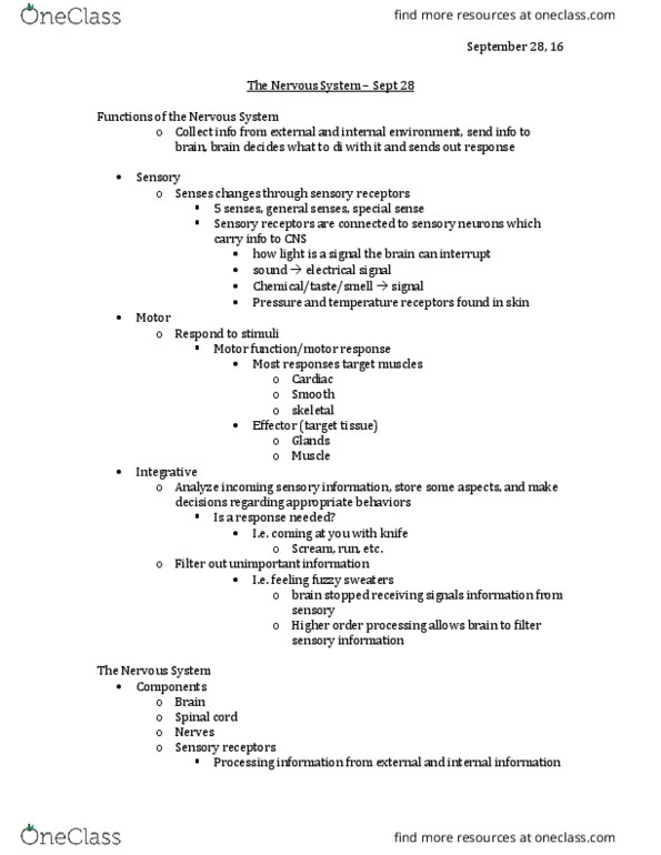 KINESIOL 1A03 Lecture Notes - Lecture 5: Axoplasmic Transport, Choroid Plexus, Myosatellite Cell thumbnail