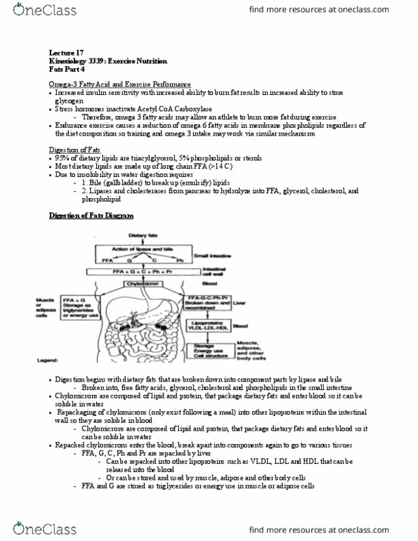 Kinesiology 3339A/B Lecture Notes - Lecture 17: Omega-3 Fatty Acid, Lipoprotein Lipase, Chylomicron thumbnail