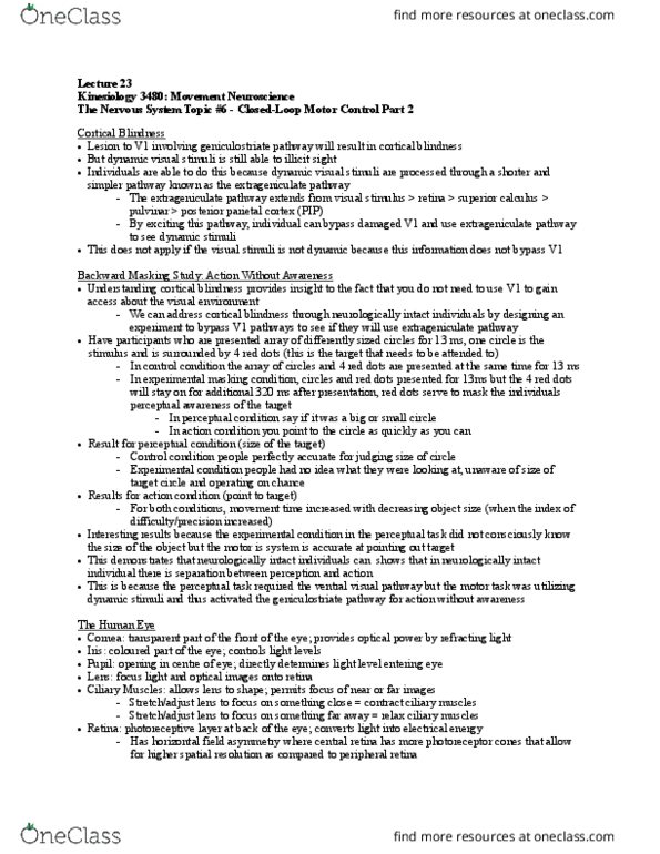 Kinesiology 3480A/B Lecture Notes - Lecture 23: Peripheral Vision, Shortwave Radio, Ganglion thumbnail