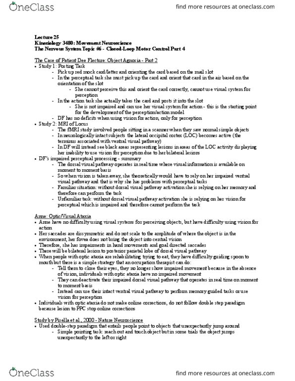 Kinesiology 3480A/B Lecture Notes - Lecture 25: Retina, Two-Streams Hypothesis, Posterior Parietal Cortex thumbnail