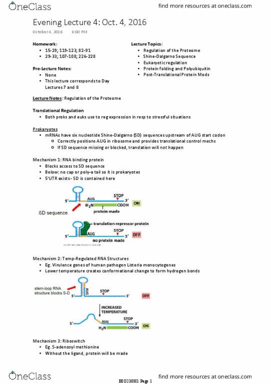 BIO230H1 Lecture Notes - Lecture 4: Ubiquitin Ligase, Tumor Suppressor Gene, Plant Hormone thumbnail