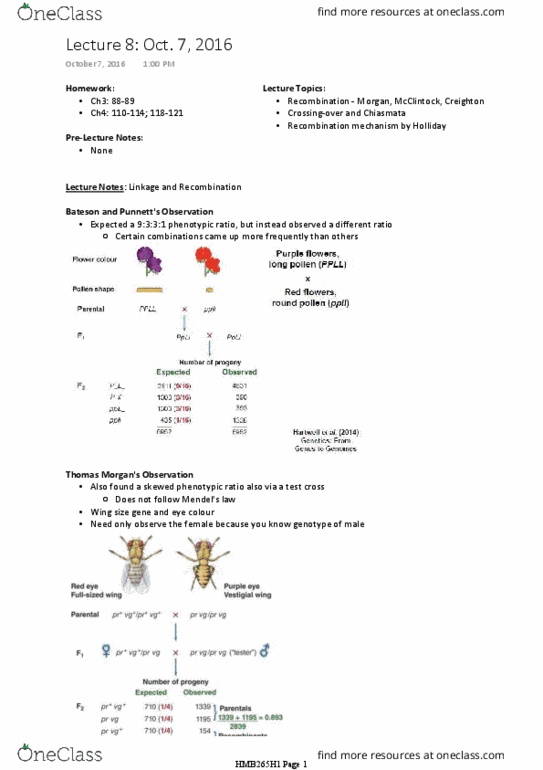 HMB265H1 Lecture Notes - Lecture 8: Endosperm, Synapse, Gene Conversion thumbnail