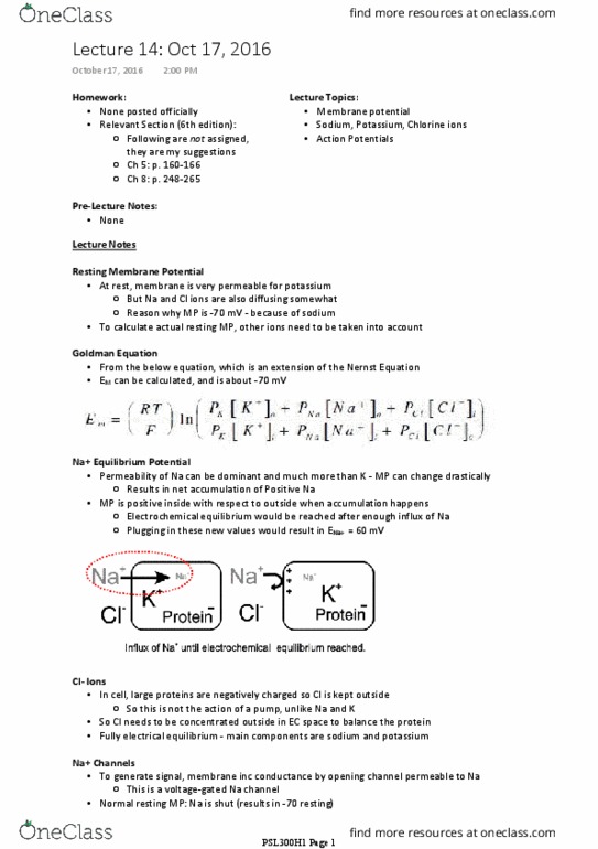 PSL300H1 Lecture Notes - Lecture 14: Analgesic, Potassium Chloride, Action Potential thumbnail