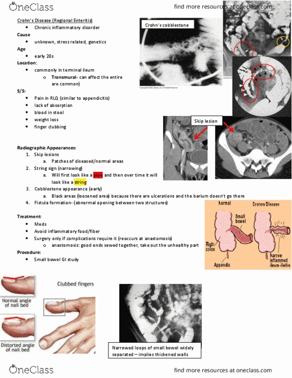 MEDRADSC 2I03 Lecture Notes - Lecture 6: Canadian Cancer Society, Red Meat, Meconium thumbnail