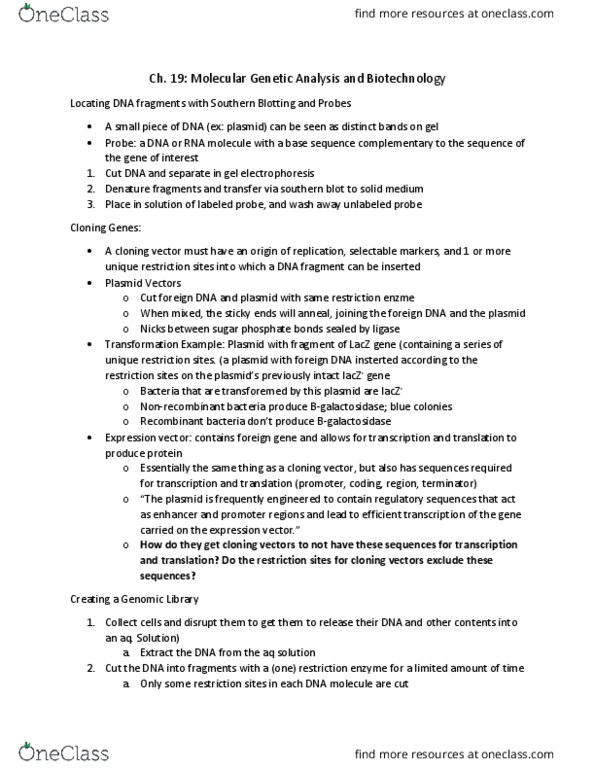 BSCI 222 Lecture Notes - Lecture 8: Small Interfering Rna, Restriction Fragment Length Polymorphism, Gene Knockout thumbnail