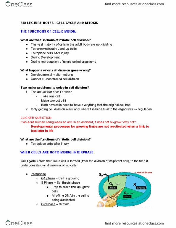 EBIO 1210 Lecture Notes - Lecture 10: Chromosome, Nuclear Material, Nuclear Membrane thumbnail