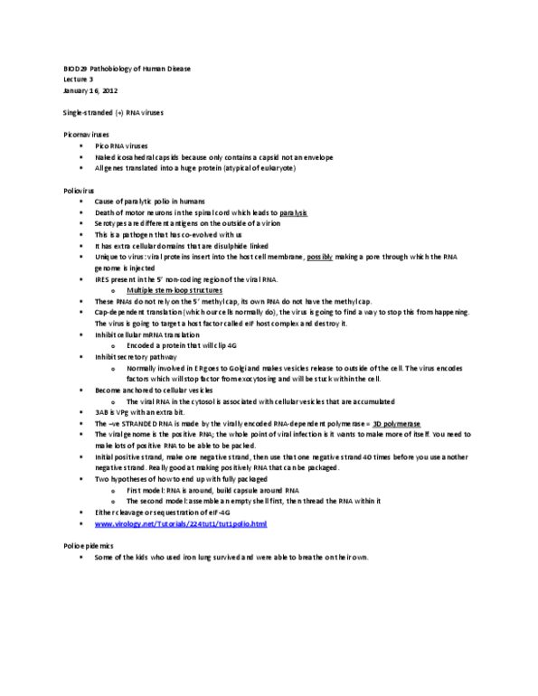 BIO120H1 Lecture Notes - Iron Lung, Poliomyelitis, Cytosol thumbnail