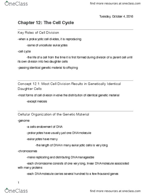 BIOL 2100 Lecture Notes - Lecture 5: Cleavage Furrow, Actomyosin Ring, Separase thumbnail