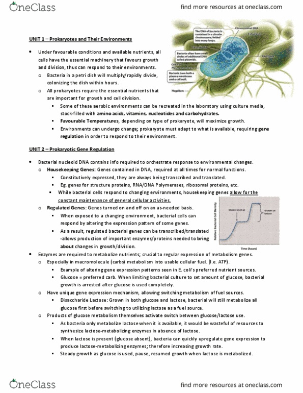 BIOLOGY 1A03 Lecture Notes - Lecture 7: Peptide, Petri Dish, Microbiological Culture thumbnail