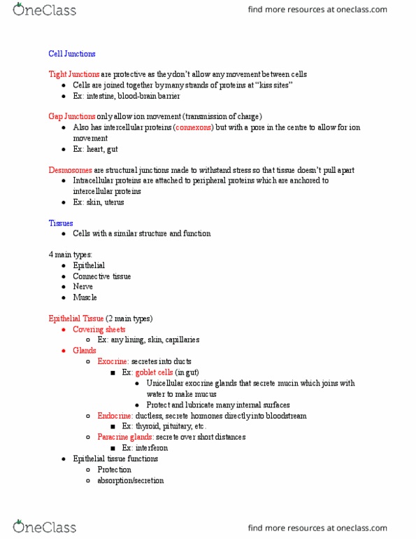 KNES 259 Lecture Notes - Lecture 16: Cardiac Muscle, Nervous Tissue, Ground Substance thumbnail