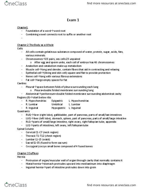 MEDT200 Lecture Notes - Lecture 8: Descending Colon, Cecum, Pharynx thumbnail