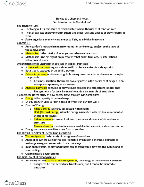 BIOL 101 Lecture Notes - Lecture 17: Exergonic Reaction, Endergonic Reaction, Ribose thumbnail